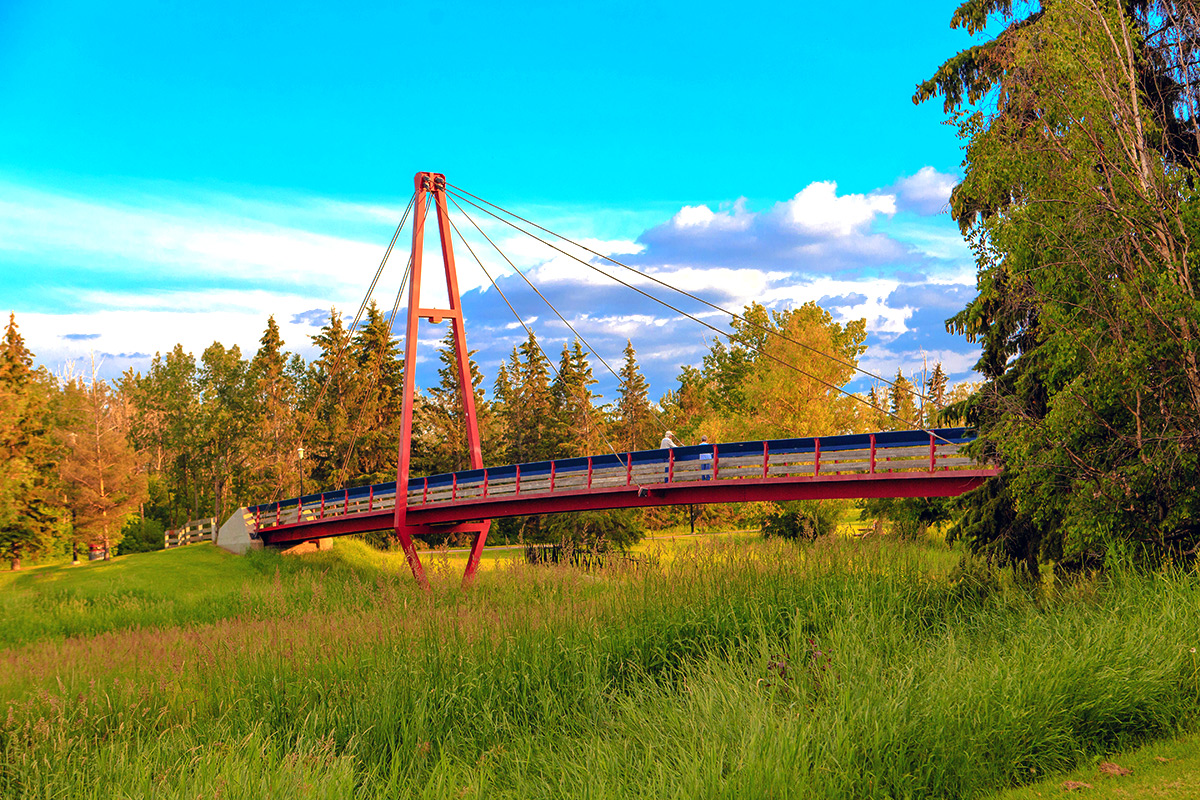 A suspension bridge in st. albert often called the children's bridge surrounded by nature