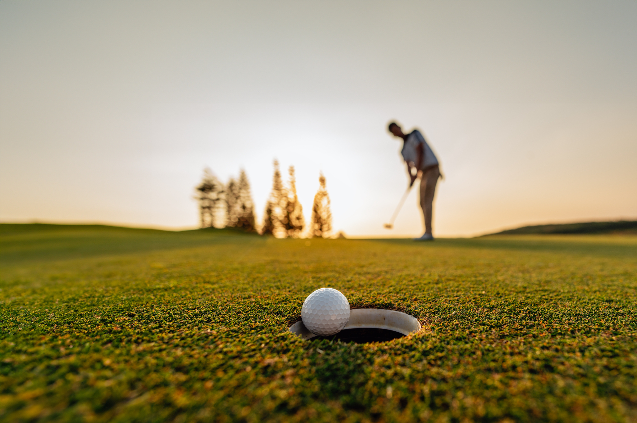 The Best Golf Courses Near St. Albert That Every Resident Should Experience